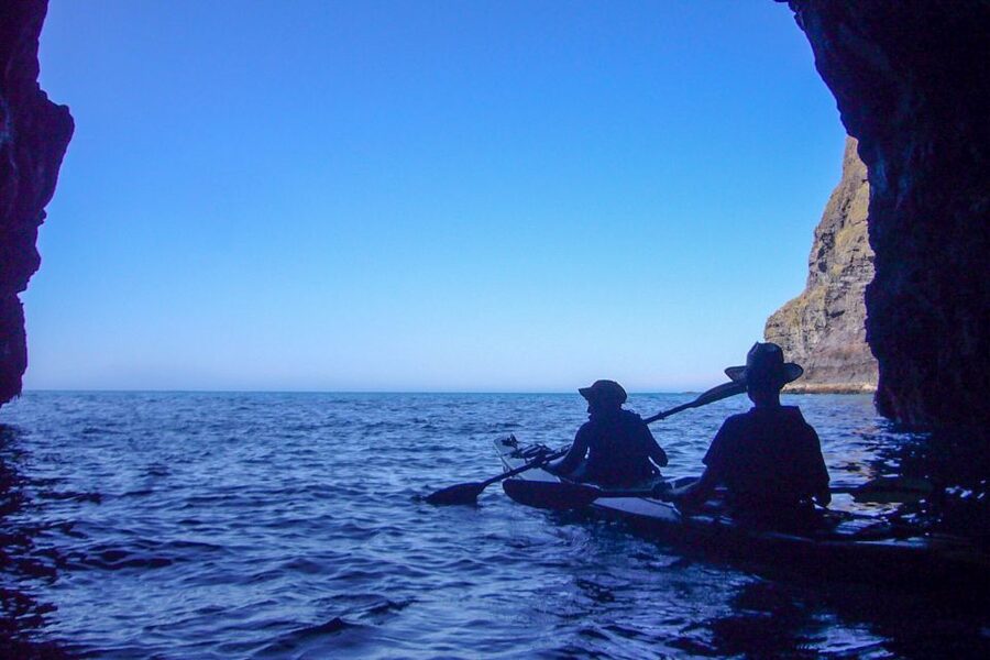 Akaroa: 4WD Safari and Guided Sea-Kayaking Experience - Who will enjoy this most?
