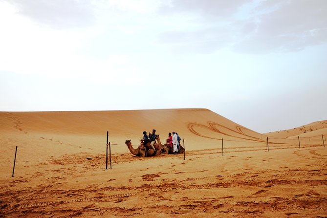 Al Ain Desert Safari with Buffet Dinner - Booking, cancellation, and weather notes