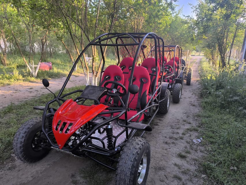 Alanya Buggy Safari: Thrill by River & Muddy Forest - Timing, pickup, and the small-group question
