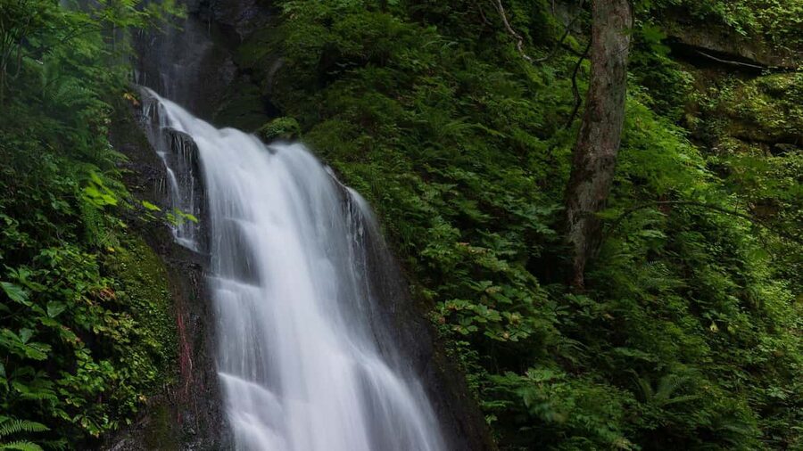 Alanya: Family Jeep Safari w/Canyon, River & Village Visit - Oba Waterfall, cool air, and a short pause