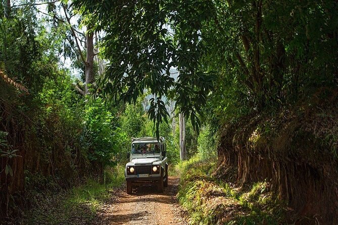 Alanya Jeep Safari Tour To Taurus Mountains (6 Activities in 1 Trip) - The group atmosphere, music, and water fights