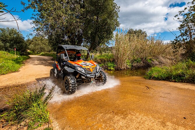 Albufeira: 1.5h Off-Road Buggy Tour - Dirt & Scenic Trails - Is it good for families and first-time drivers?