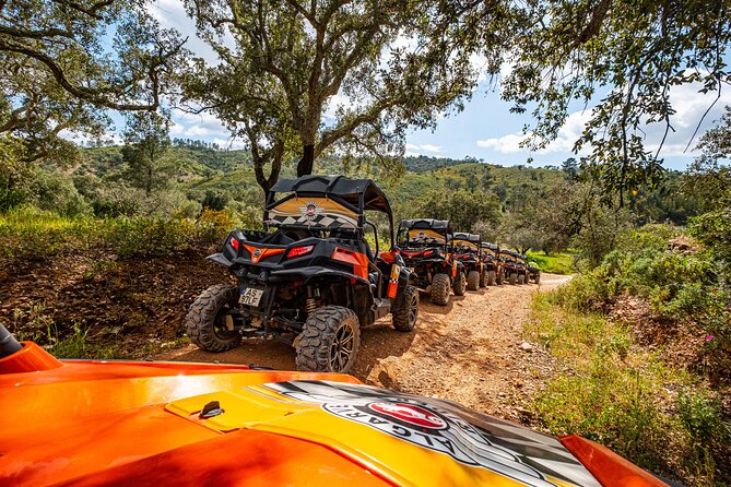 Albufeira: 1.5h Off-Road Buggy Tour - Dirt & Scenic Trails - What the 4.6 rating tells you about the experience