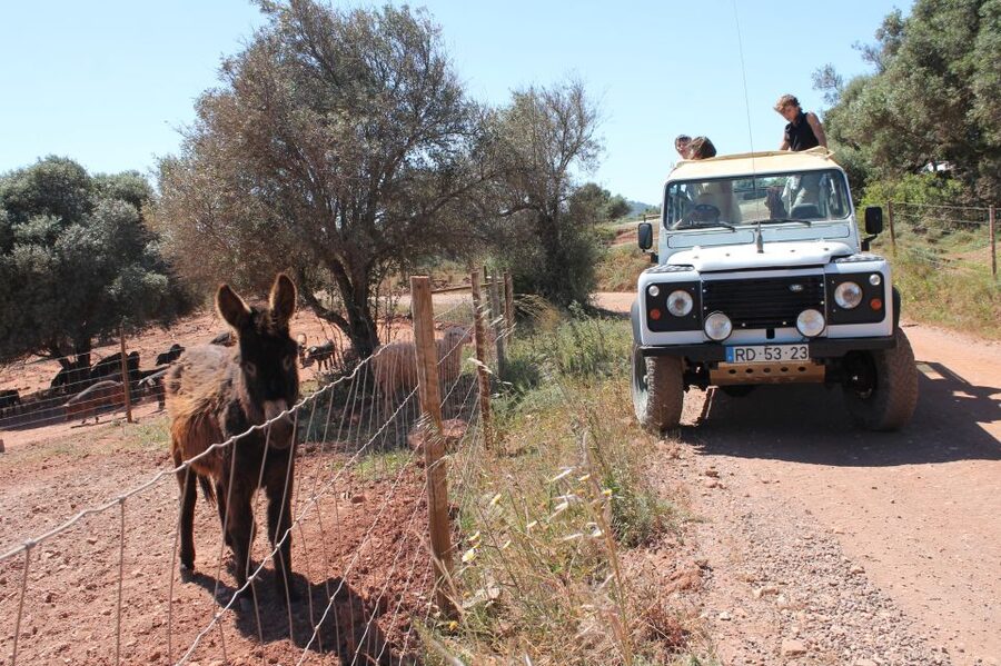 Albufeira: Jeep Safari Half-Day Countryside Tour - Booking, timing, and cancellation details