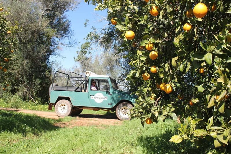 Albufeira Jeep Safari with Zoo - Guides, language, and the feel of the ride