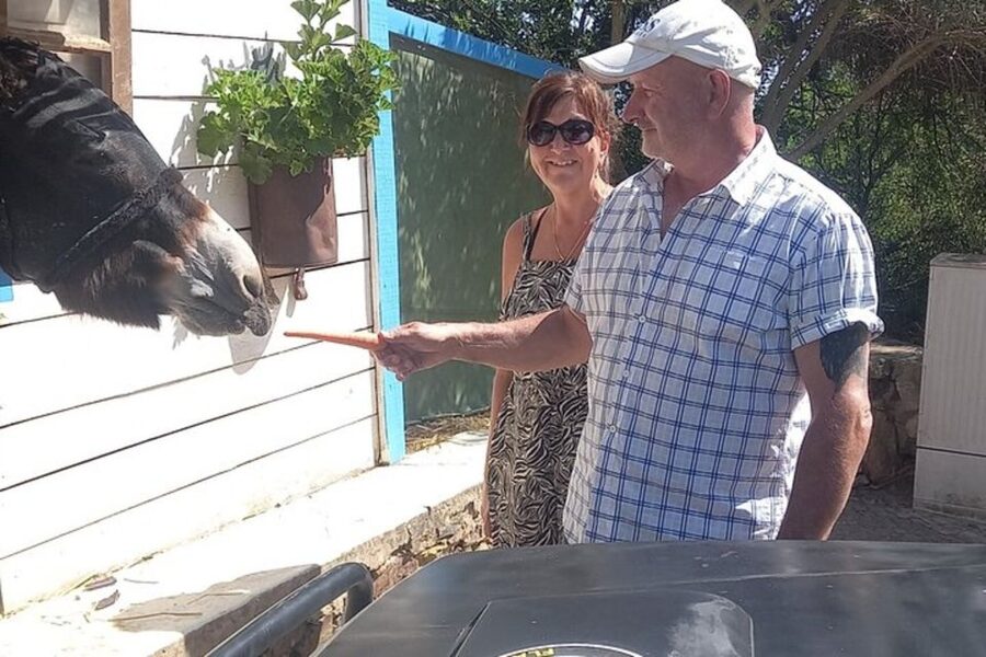 Albufeira Safari exploring villages, churches, castle & farm - Paderne Castle and a glimpse of medieval Algarve