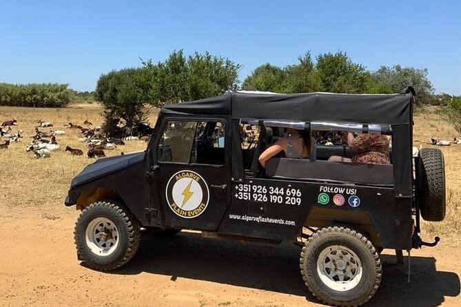 Albufeira Safari w/ Krazy World Visit, Bones & Animals - Salgados Lagoon: a quiet start with birds
