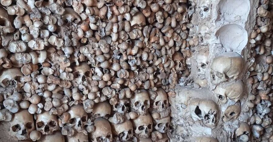 Albufeira Safari with entrance in Krazy World & Bone Chapel - Alcantarilha’s Bone Chapel is small and striking