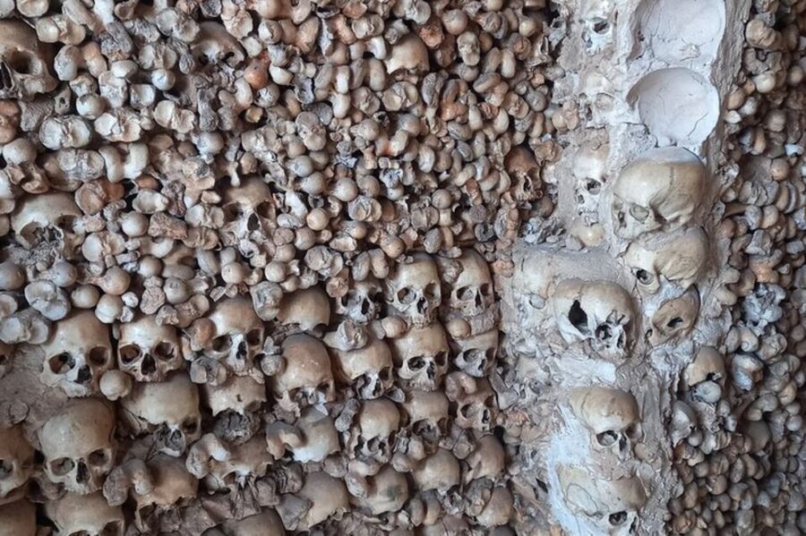 Albufeira Safari with entrance in Krazy World & Bone Chapel - Who will enjoy this most?