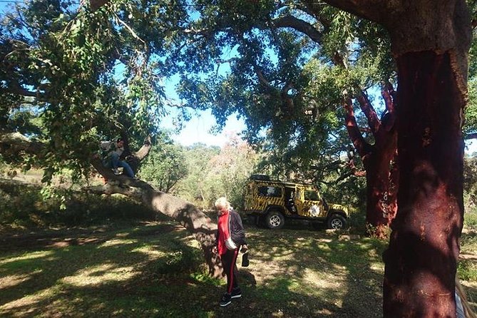 Algarve Half Day Jeep Safari (PRIVATE TOUR) - Why this private Algarve safari works