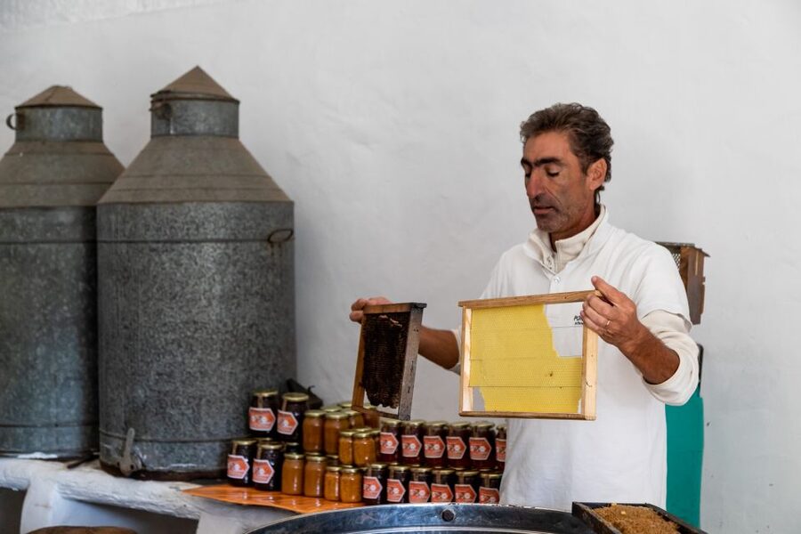 Algarve: Jeep Safari with Distillery Visit & Lunch - Who should book this experience?