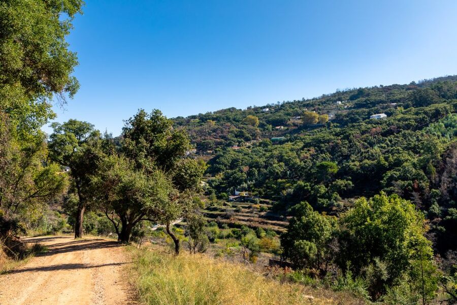Algarve: Jeep Safari with Distillery Visit & Lunch - The distillery, medronho, and traditional honey