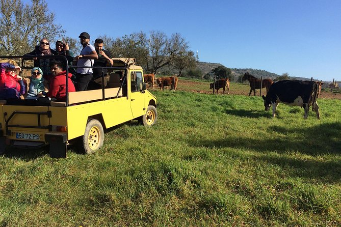Algarve Mountains & Villages - Half Day Jeep Safari Trip - Key points to know before booking