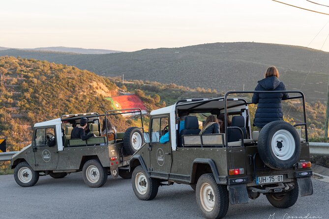 Algarve Safari - Full Day Tour from Albufeira w / lunch - Why this inland Algarve day is worth your time