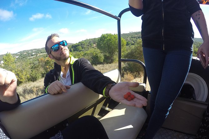 Algarve Safari - Full Day Tour from Albufeira w / lunch - Queda do Vigario adds water and a short walk