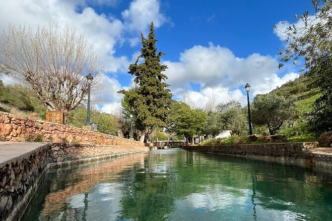 Algarve Safari - Half Day from Albufeira - The guides make the difference