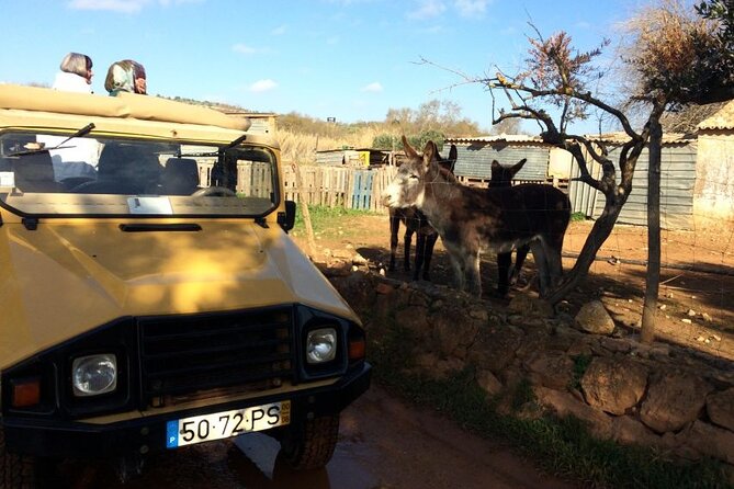 Algarve Sunset Experience - Half Day Jeep Safari Trip - Why the guide can make or break the experience