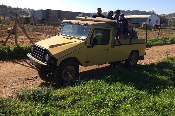Algarve Sunset Experience - Half Day Jeep Safari Trip - Is $35.95 good value?