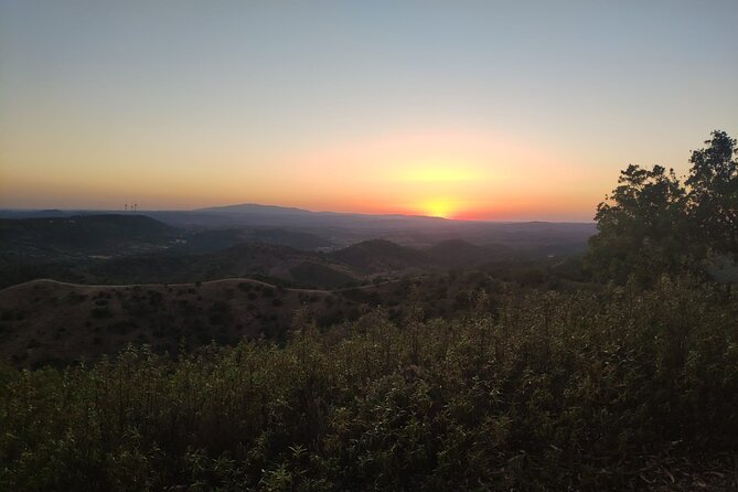 Algarve Sunset Safari Tour from Albufeira - What the $48.27 price buys you