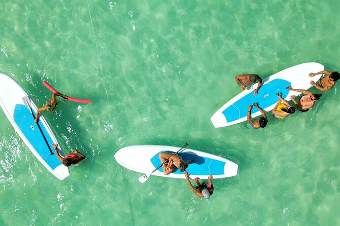 All-Inclusive Sandbar Safari with Dolphin Playground Encounter - How the crew shapes the day