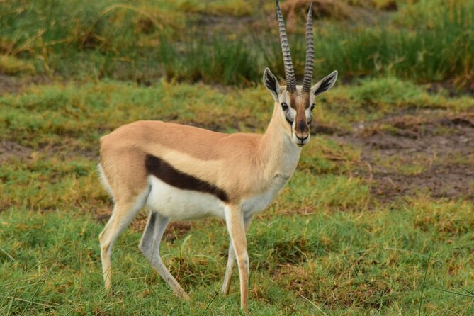 Amazing 4 Days Tanzania Budget Camping Group Joining Safari - What $1,283 per person really covers