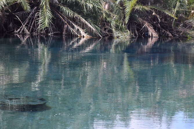 Amazing Chemka (Kikuletwa) Hot Spring Day Trip | BURIGI CHATO SAFARIS CO LTD - Barbecue lunch beneath the trees