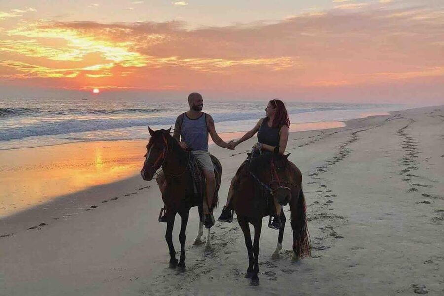 Antalya: Lara Beach & Forrest Horse Riding Safari - The tree-lined route: calm rather than wild