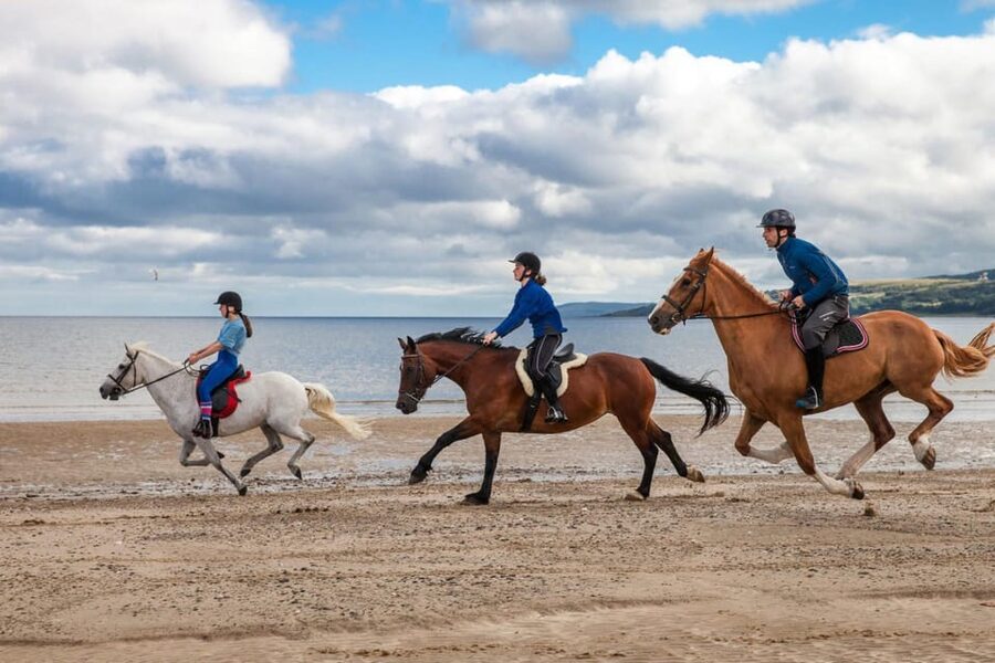 Antalya: Lara Beach & Forrest Horse Riding Safari - Is $58 good value?