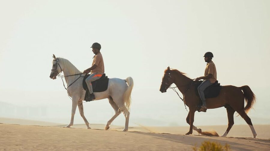 Antalya: Lara Beach & Forrest Horse Riding Safari - Who should book this activity?