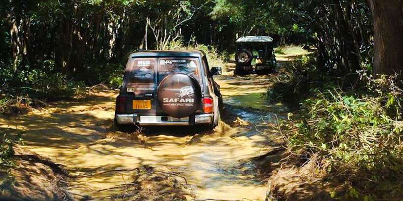 Anuradhapura: Full-Day Wilpattu All Inclusive Private Safari - Breakfast, picnic lunch, and the practical side of a long day