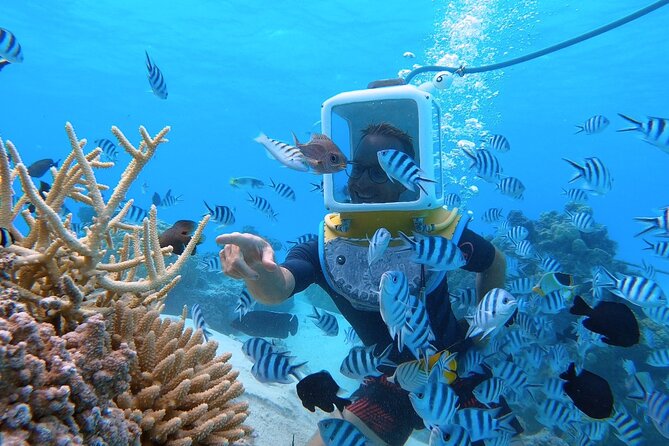 Aqua Safari Introductory Helmet Dive (Underwater Walk) - Why this helmet walk works for nonswimmers