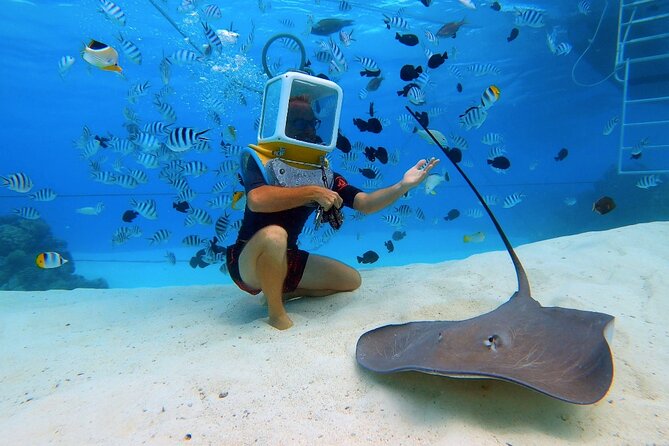 Aqua Safari Introductory Helmet Dive (Underwater Walk) - The guide makes the difference