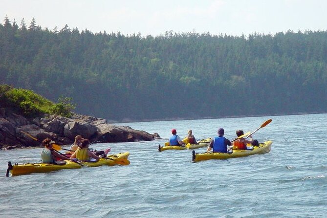 Aqua Safari Kayak tour departing Southwest Harbor - A relaxed paddle with room for wildlife
