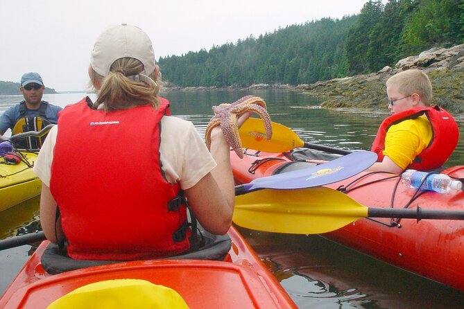 Aqua Safari Kayak tour departing Southwest Harbor - What the $191 price buys you