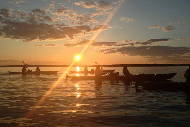 Aqua Safari Kayak tour departing Southwest Harbor - Practical preparation for the morning