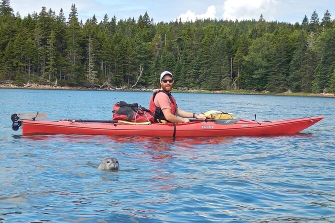 Aqua Safari Kayak tour departing Southwest Harbor - Why the route is never exactly the same
