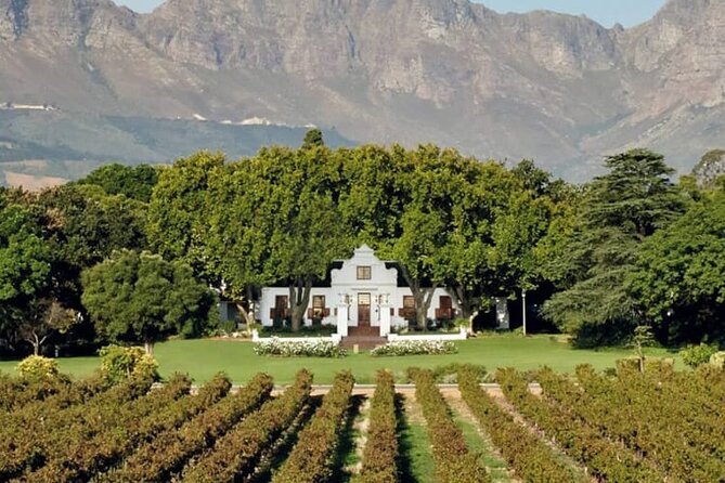 Aquila Game Reserve Safari with wine tasting, Transport & Lunch - Transport from Cape Town and the long return