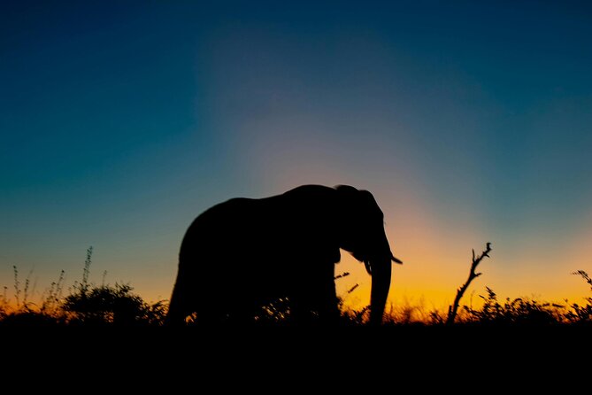 Aquila Game Reserve Sunset Safari - Why Aquila Works as a Cape Town Safari