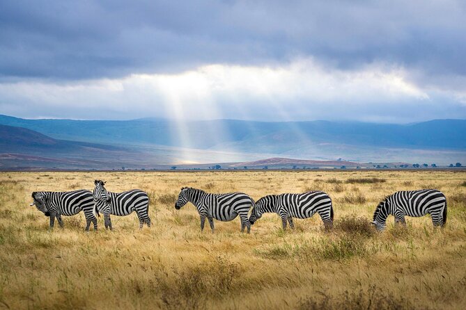 Aquila Game Reserve Sunset Safari - Who Will Get the Most From This Safari