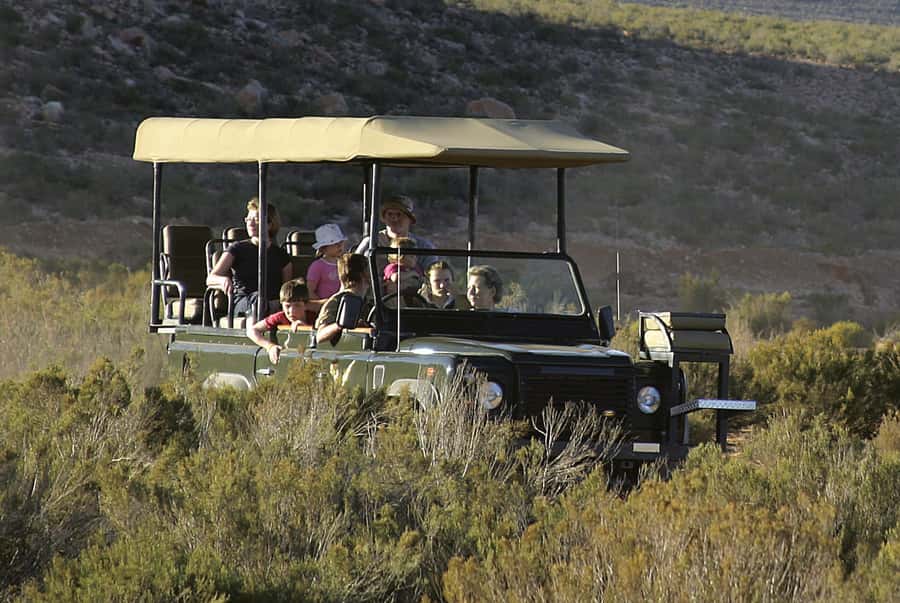 Aquila Reserve: Private Day Tour with Shared Game Drive - The shared 4x4 search for the Big Five