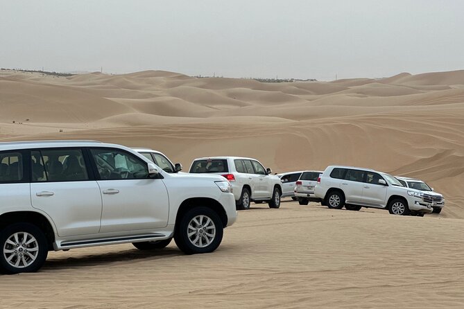 Arabian Desert Safari Abu Dhabi: 6Hour Tour with BBQ & Live Shows - From Abu Dhabi to the Al Khatim dunes