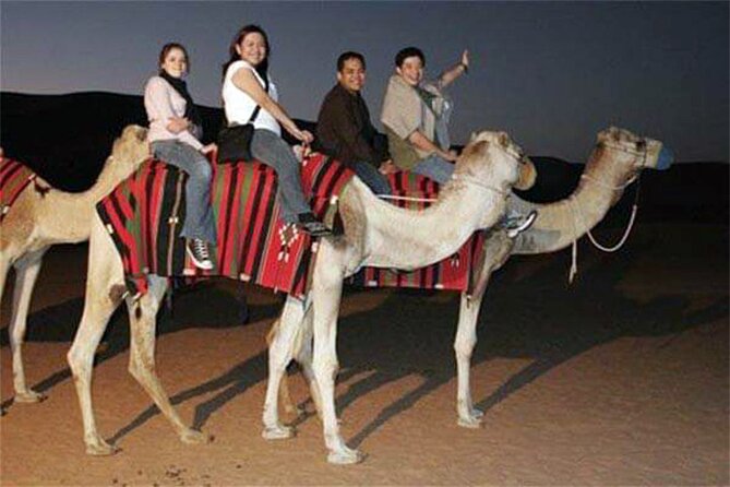 Arabian Desert Safari Dubai - Group size, timing, and comfort