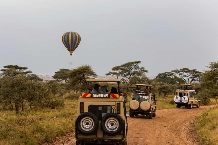 Arusha: 3-Day Serengeti & Ngorongoro Crater Big Five Safari - Day one: Arusha to the Serengeti plains