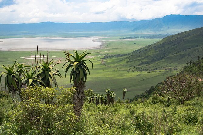 Arusha: 5 days Safari Trip Tarangire, Lake Manyara and Ngorongoro - Five details worth knowing before you book