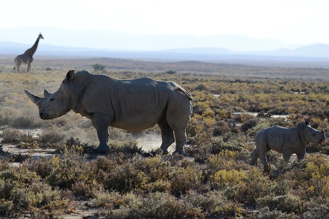 Arusha: 5 days Safari Trip Tarangire, Lake Manyara and Ngorongoro - What the $1,894 price really covers