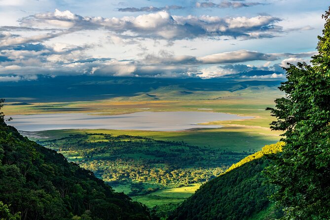 Arusha: 5 days Safari Trip Tarangire, Lake Manyara and Ngorongoro - Day 2: Lake Manyara and the search for tree-climbing lions