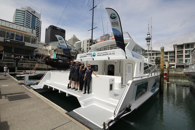 Auckland Dolphin and Whale Watching Eco-Safari Cruise - Leaving Viaduct Harbour on a 65-foot catamaran