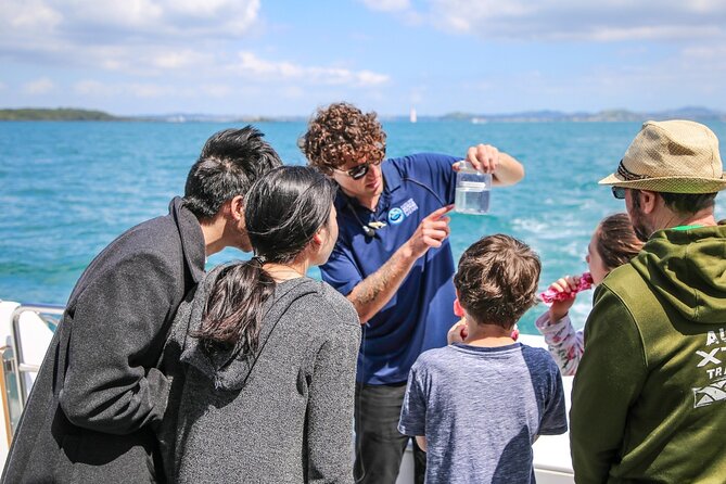 Auckland Dolphin and Whale Watching Eco-Safari Cruise - Tiritiri Matangi and North Head on the return