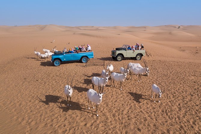 Authentic Safari in Vintage Land Rover with Traditional Dinner - A torch-lit Bedouin camp at a private royal retreat