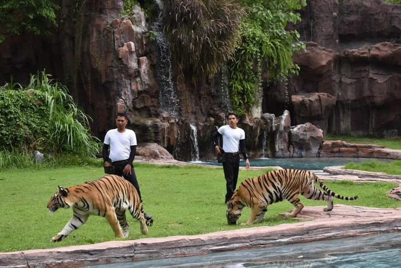 Bali: Taman Safari and Elephant Feeding with Hotel Transfer - Key points to know before booking